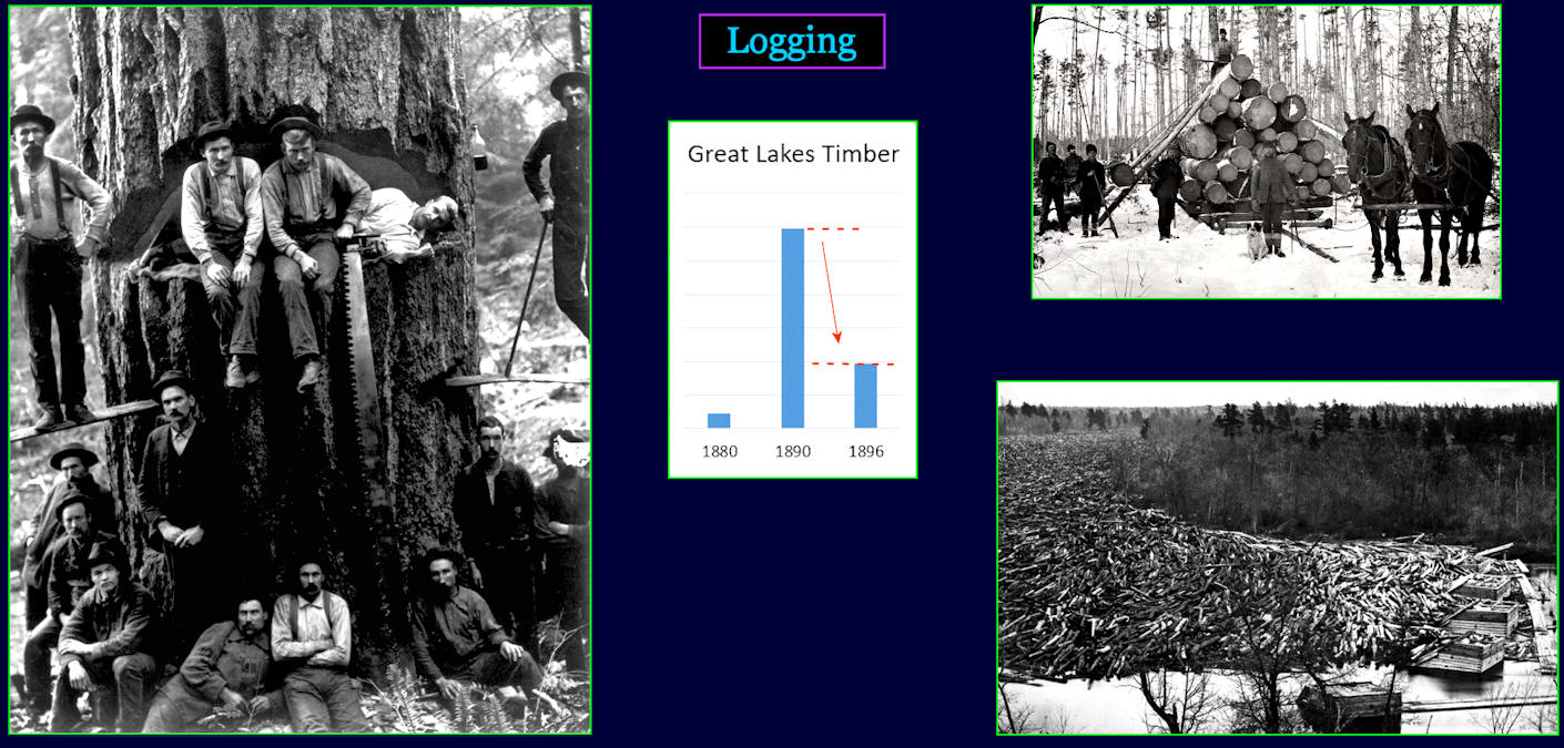 Logging, 1910